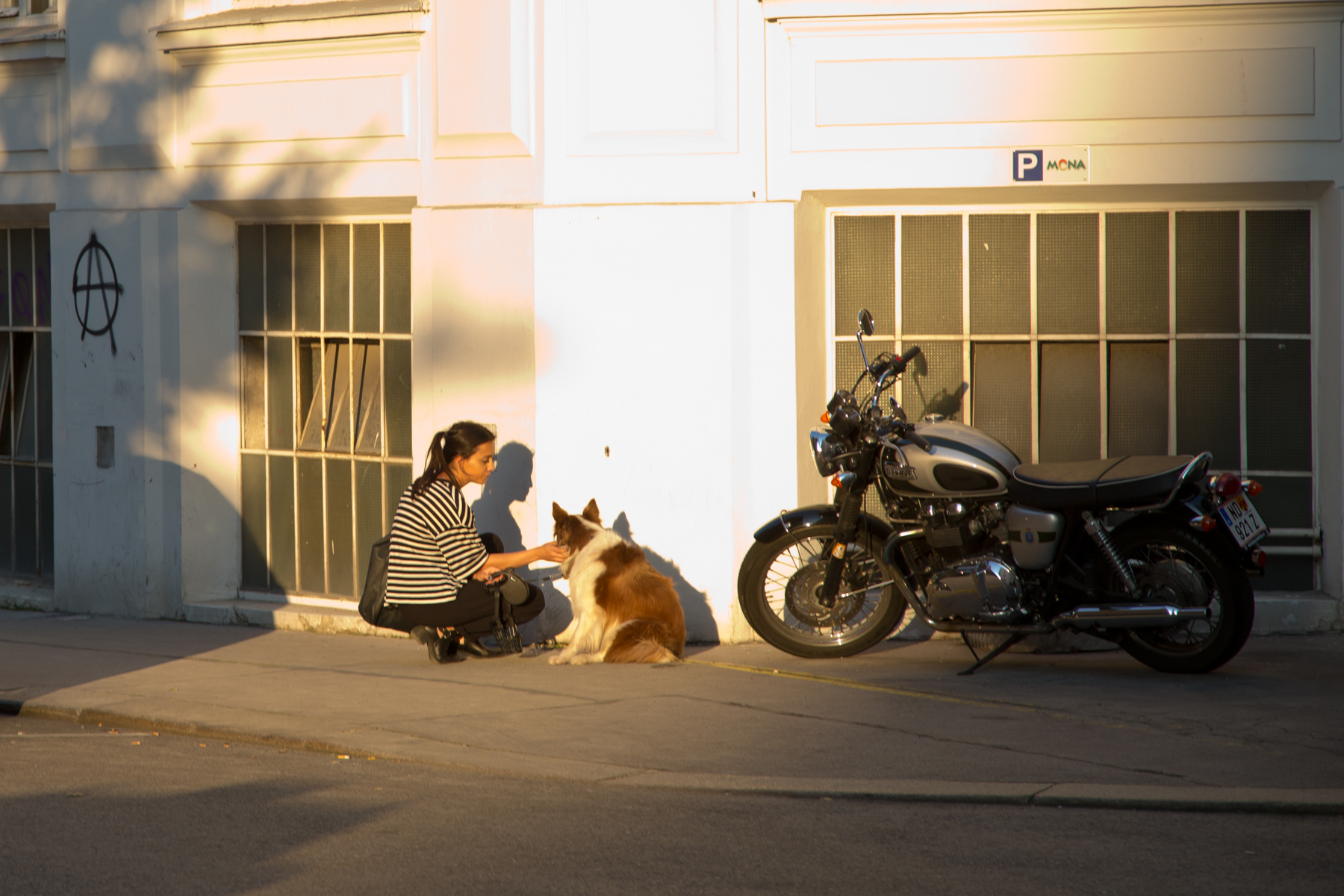 Hundeversteherin