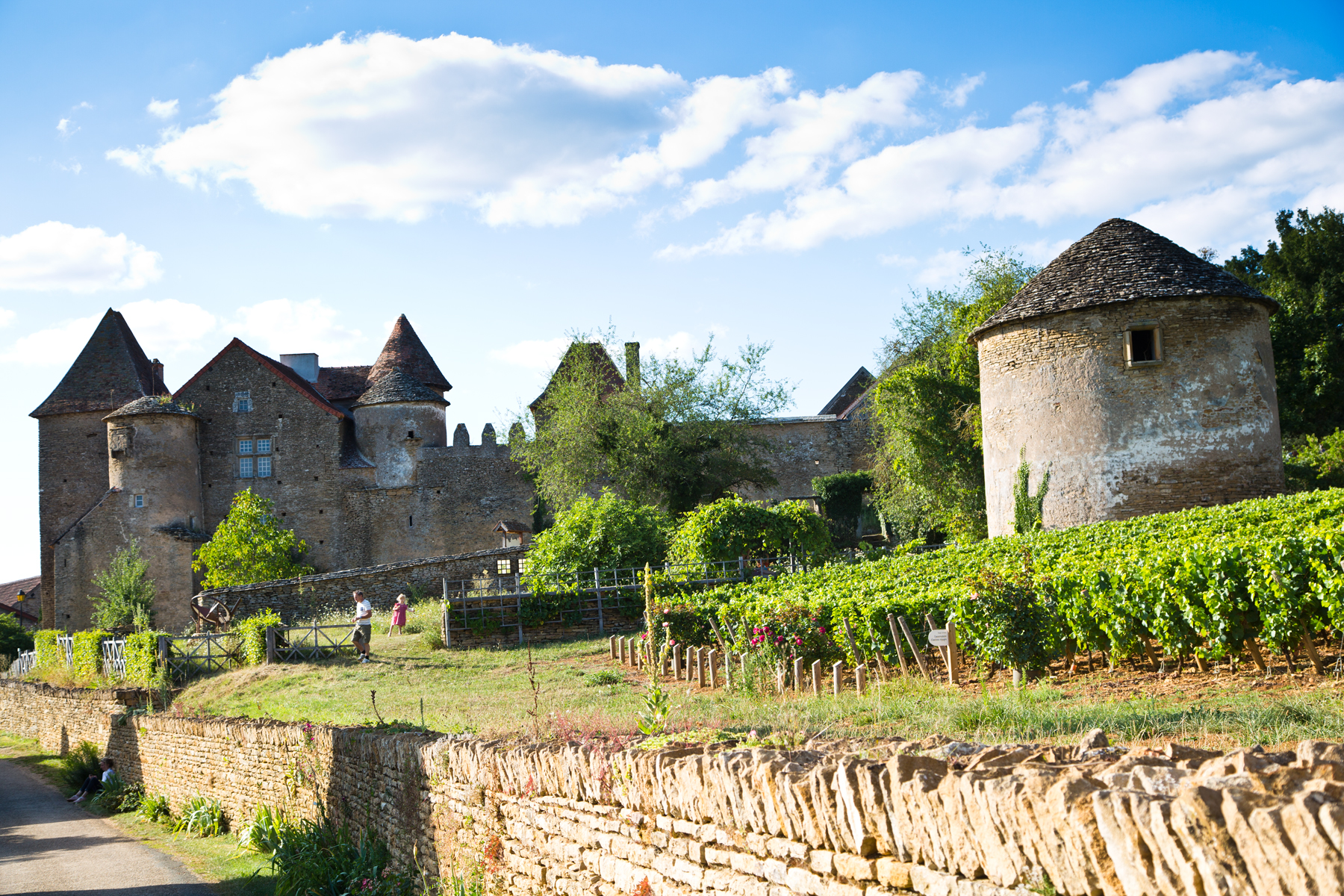 Bissy-sur-Fley-Château de Pontus de Tyard-Schloss-Sommer-Mauern-Festung